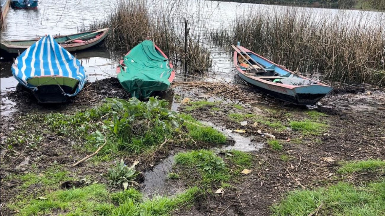 Declarada Zona de Riesgo Sanitario Localidad de Puerto Domínguez por Contaminación en Lago Budi Declarada Zona de Riesgo Sanitario Localidad de Puerto Domínguez por Contaminación en Lago Budi