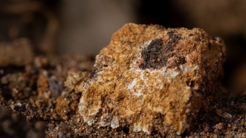 Chile revoluciona minería con Machine Learning en tierras raras