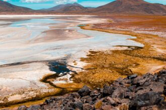Mesa Multiactor del Salar de Atacama impulsa gestión sostenible