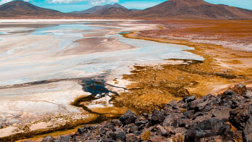 Mesa Multiactor del Salar de Atacama impulsa gestión sostenible