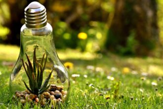 Reveladas innovadoras iniciativas ambientales del concurso regional en Antofagasta