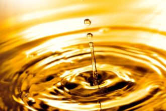 Enap y Lipigas Convierten 350,000 Litros en Diésel Renovable