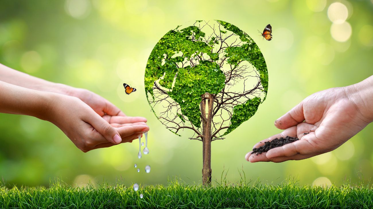 SEIA revoluciona evaluación: impacto acumulativo y sinérgico en proyectos ambientales SEIA revoluciona evaluación: impacto acumulativo y sinérgico en proyectos ambientales