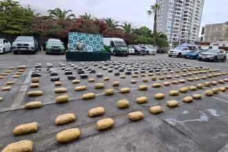Incautan 522 kilos de drogas en Alto Hospicio, Tarapacá