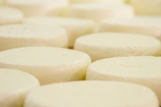 Aprobada nueva planta de quesos en La Unión con inversión millonaria