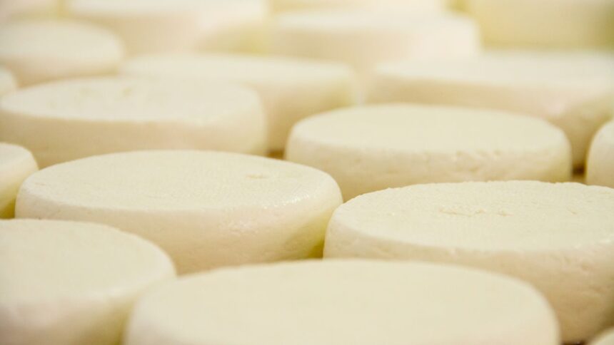 Aprobada nueva planta de quesos en La Unión con inversión millonaria