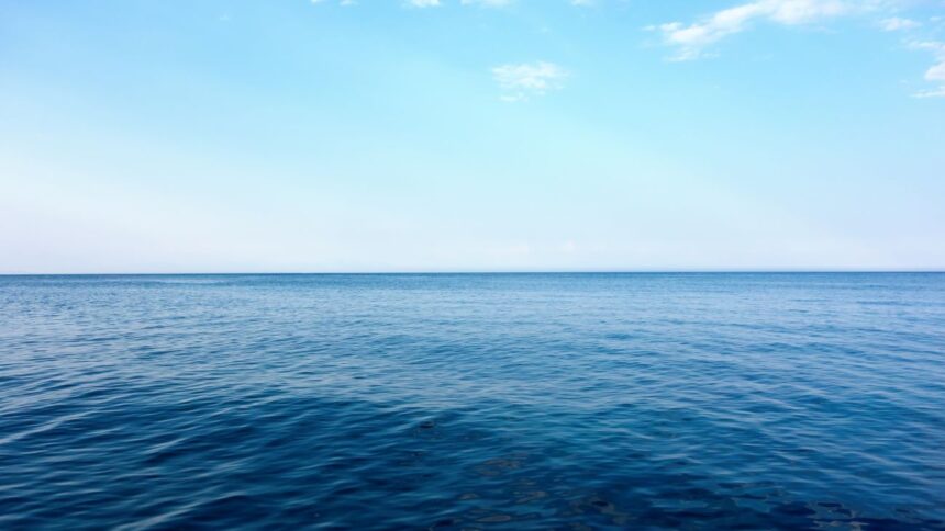 Avance tecnológico revoluciona la conservación de los océanos: estudio revelador