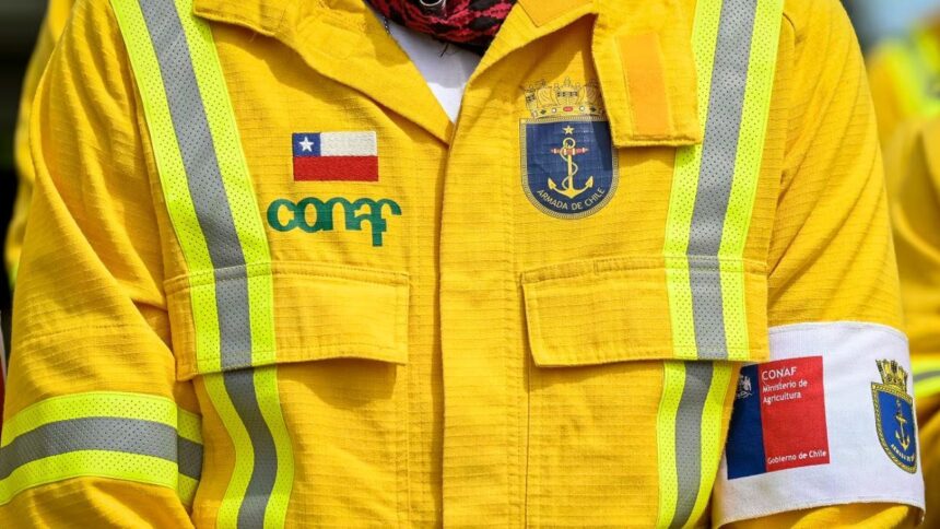Despido de trabajadores por incendio en Valparaíso: Conaf toma medidas preventivas
