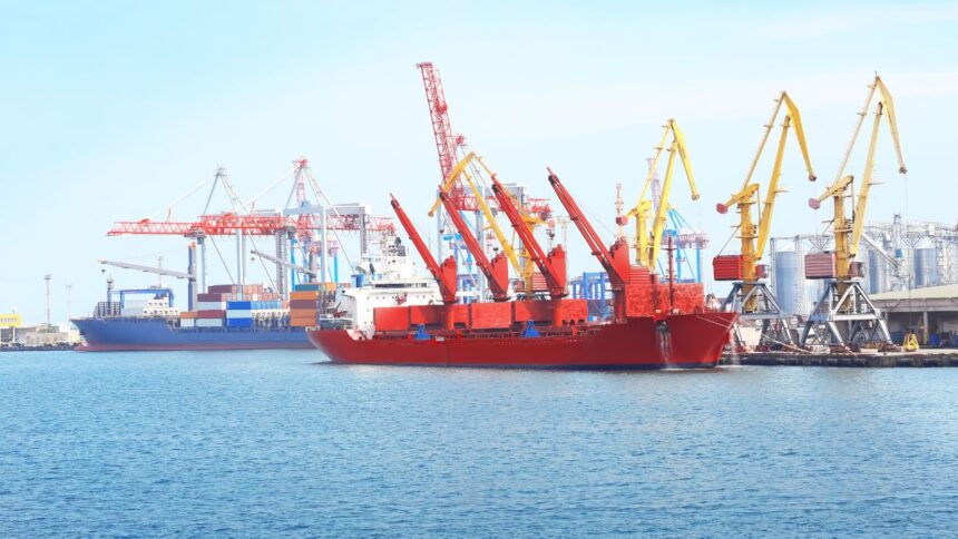 Impacto del interés chino en puertos argentinos: preocupación en Patagonia