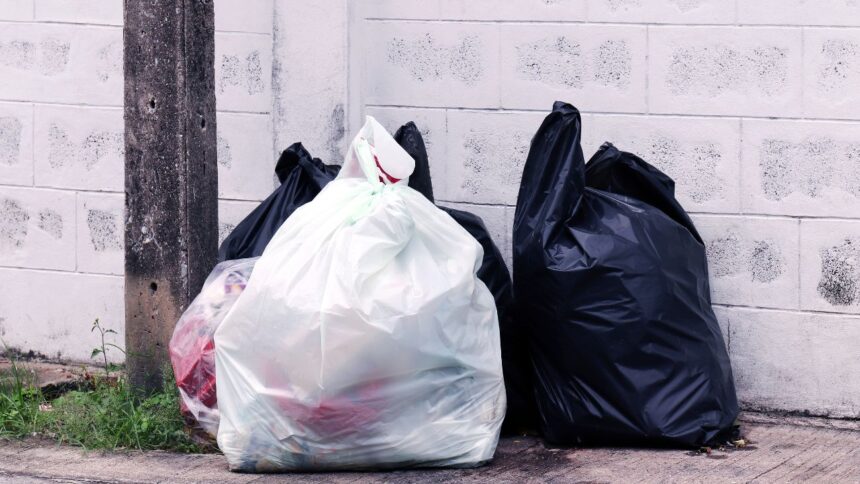 Ancud busca soluciones locales para crisis de residuos en Chile