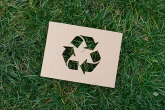 Descubren novedoso método de reciclaje para mejorar sostenibilidad ambiental