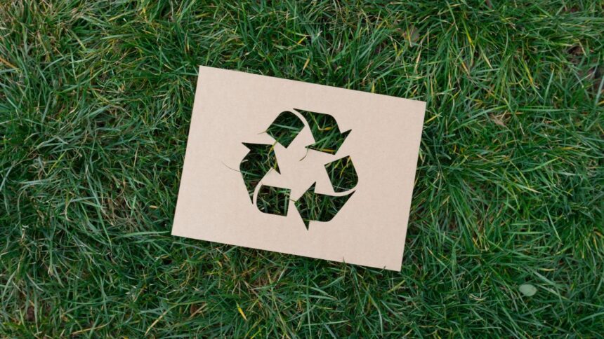 Descubren novedoso método de reciclaje para mejorar sostenibilidad ambiental