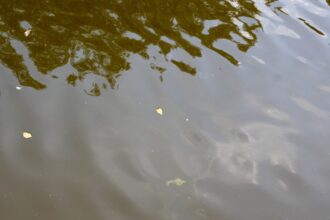 Gestión del agua en minería: Claves para sostenibilidad en San Juan