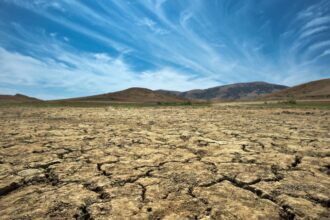 Sequía en Europa: Crisis hídrica afecta sectores económicos, llamado a la acción