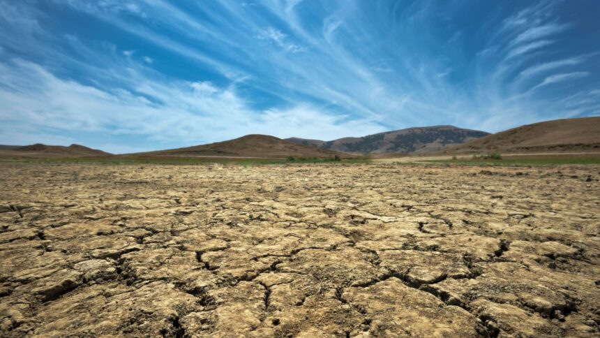 Sequía en Europa: Crisis hídrica afecta sectores económicos, llamado a la acción