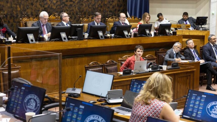 Senado de Chile aprueba Ministerio de Seguridad Pública: Reacciones y Avances