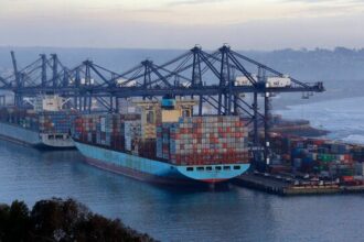 Mantención en Puerto San Antonio afectará descarga de vehículos nuevos