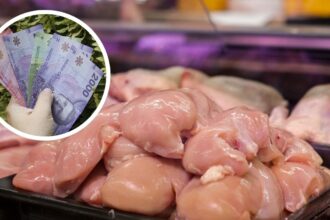 Pago de compensaciones por colusión de pollos beneficia a chilenos con invalidez