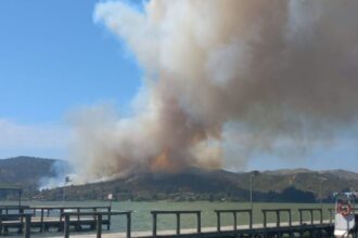 Alerta Roja en Las Cabras por incendio forestal: evacuación de emergencia