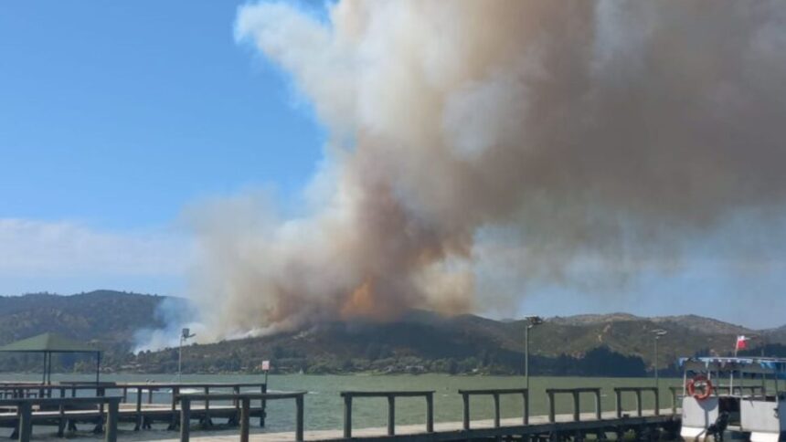 Alerta Roja en Las Cabras por incendio forestal: evacuación de emergencia