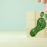 Chile estrena plataforma digital para seguimiento de carbono en industrias