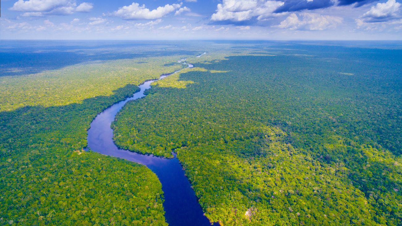 Desastre ecológico en la Amazonía: impacto, medidas y reacciones actuales Desastre ecológico en la Amazonía: impacto, medidas y reacciones actuales