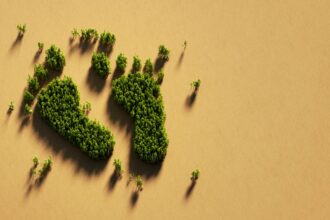 Plataforma digital reduce huella de carbono en minería de manera eficaz