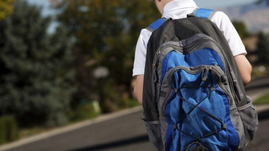 Grave caso de violencia escolar en Santiago: Interviene Defensoría de la Niñez