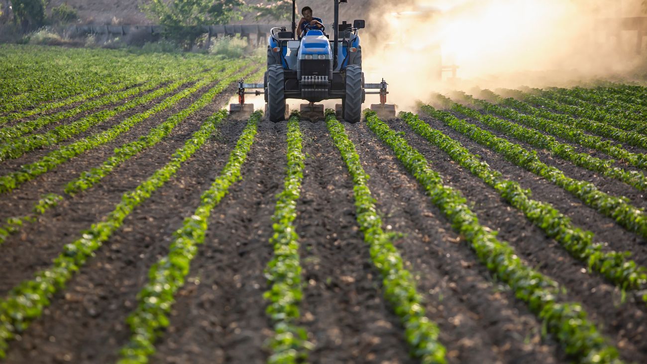 Impacto del cambio climático en la agricultura: Hallazgos y soluciones esenciales Impacto del cambio climático en la agricultura: Hallazgos y soluciones esenciales