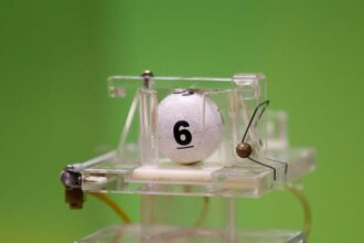 Sorteo "La Suerte en Chile 2024" repartirá 90 millones de pesos