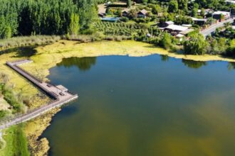 Bloom de algas en laguna Rayenantú de Santa Juana preocupa a residentes