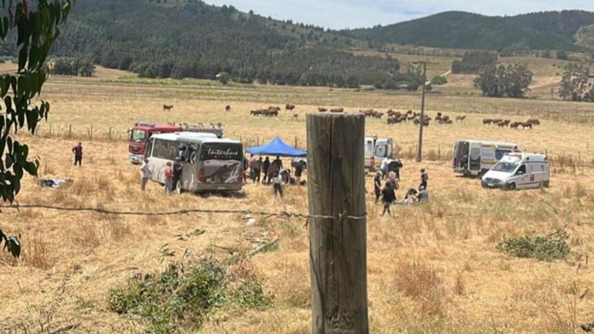 Accidente de bus escolar en Vichuquén: numerosas lesiones y tránsito restringido