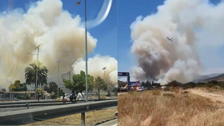 Prisión preventiva para miembros de la CAM por ataques incendiarios