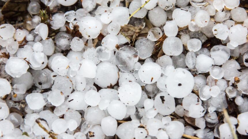 Chubascos y vientos: Pronóstico del tiempo para este martes en Chile