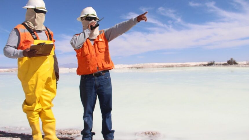 Oportunidades de empleo en SQM para profesionales de distintas áreas