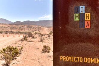 Revocación de fallo: Tribunal Ambiental da luz verde a Dominga