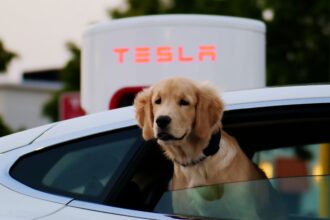 Tesla planea lanzar un coche eléctrico a precio asequible en 2025