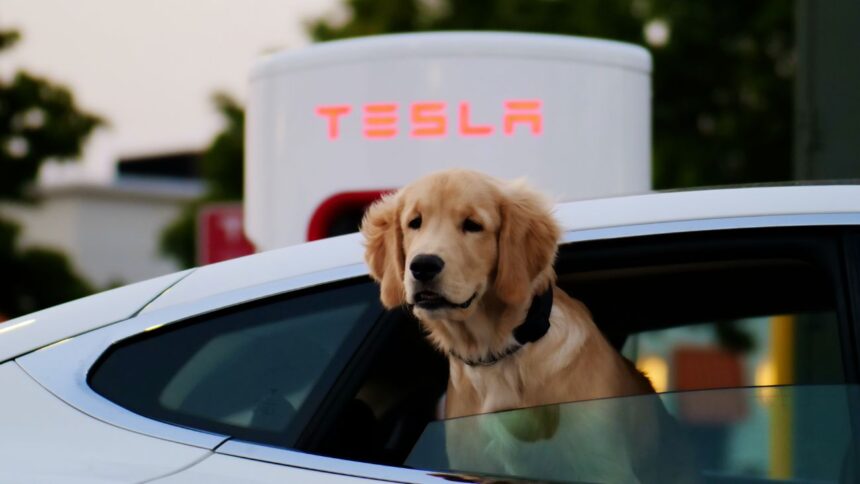 Tesla planea lanzar un coche eléctrico a precio asequible en 2025