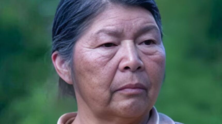 Preocupación por desaparición de Julia Chuñil Catricura en Los Ríos