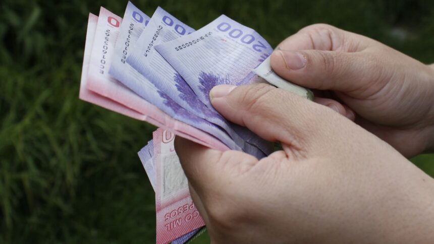 Beneficios Económicos para Pensionados en Chile: Opciones y Requisitos Específicos