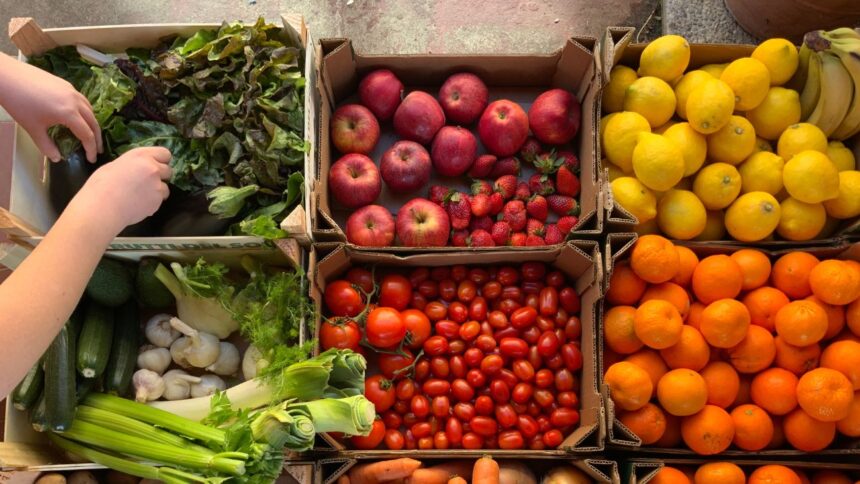 Familia Paulmann enfrenta crisis económica: Adelco solicita reorganización judicial