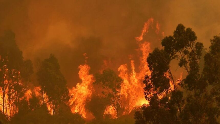 Lograda identificación del último fallecido del megaincendio en Valparaíso