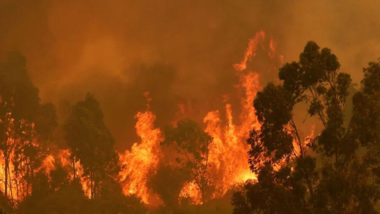 Lograda identificación del último fallecido del megaincendio en Valparaíso