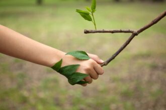 Reforma a la Ley Ambiental en Chile: avance lento en Congreso