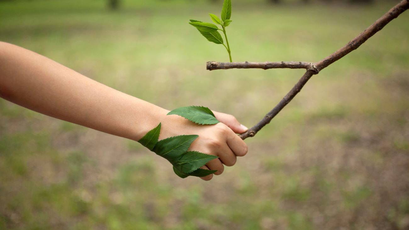 Reforma a la Ley Ambiental en Chile: avance lento en Congreso Reforma a la Ley Ambiental en Chile: avance lento en Congreso