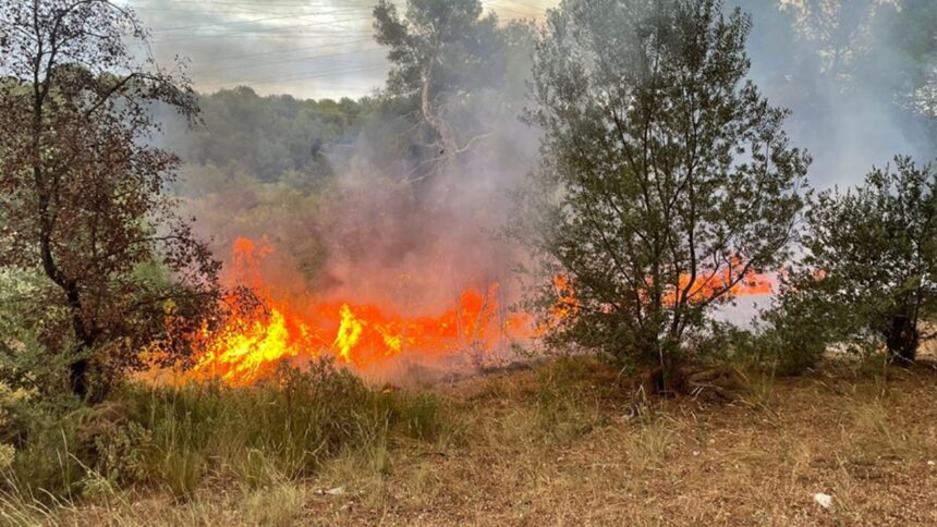 Condenado a cárcel por incendio intencional en Tres Peñas, Pelluhue