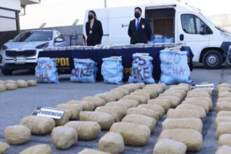 Decomiso récord de droga y captura de delincuentes en Metropolitana