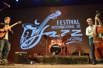 Parquetón Fest: Protegiendo bosques y humedales en Valdivia este fin de semana