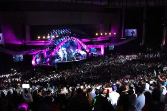 Festival de Viña del Mar 2025: Artistas, Entradas y Detalles Importantes