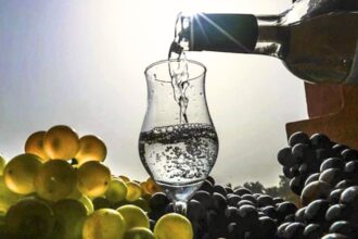 Consejo Asesor del Pisco analizará desafíos de la Denominación de Origen